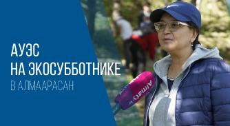 АУЭС на экосубботнике! - 1