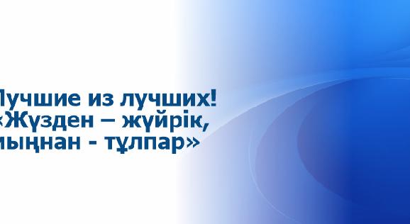 Лучшие из лучших! - 1