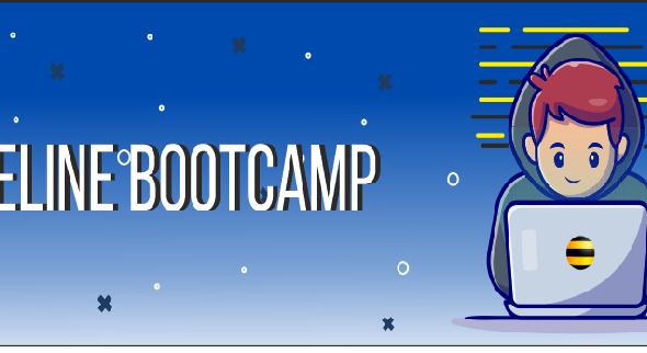 Спеши принять участие в Beeline Bootcamp! - 1